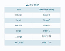 Load image into Gallery viewer, Boy's Quarter Zip Ocean View Pullover