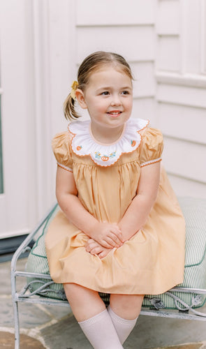 Celebrate the season in the Luciana Loop Pumpkin Dress by The Proper Peony. This charming gingham orange and white dress features a delicate scalloped collar with hand-embroidered pumpkin details, adding a touch of whimsy to your child's fall wardrobe. Perfect for autumn gatherings, its simple yet elegant design ensures your little one looks festive and stylish with ease.
