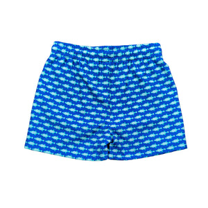 Introducing Bait Fish Blue Swim Shorts for boys toddler to tween! These shorts from Salt Water Boys feature a bright blue background and green fish design, perfect for your little one's day at the beach. The classic and coastal design is sure to make a splash!