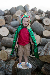 Reversible Dragon/Knight Hooded Cape